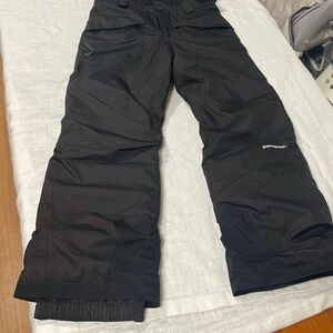 Patagonia pants